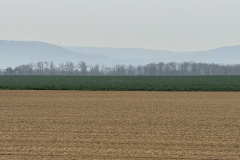 IMG_1438