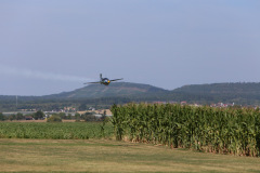 IMG_3382-Gross