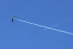 IMG_3403-Gross
