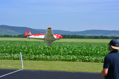 DSC_9961